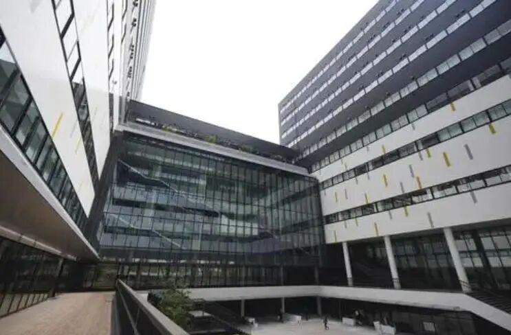 救命!日本一大学为留学生开全英文本科项目