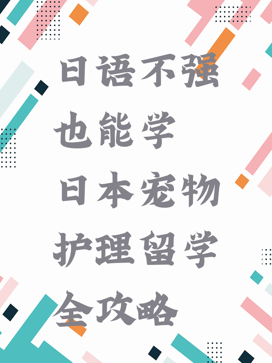 日语不强也能学 日本宠物护理留学全攻略