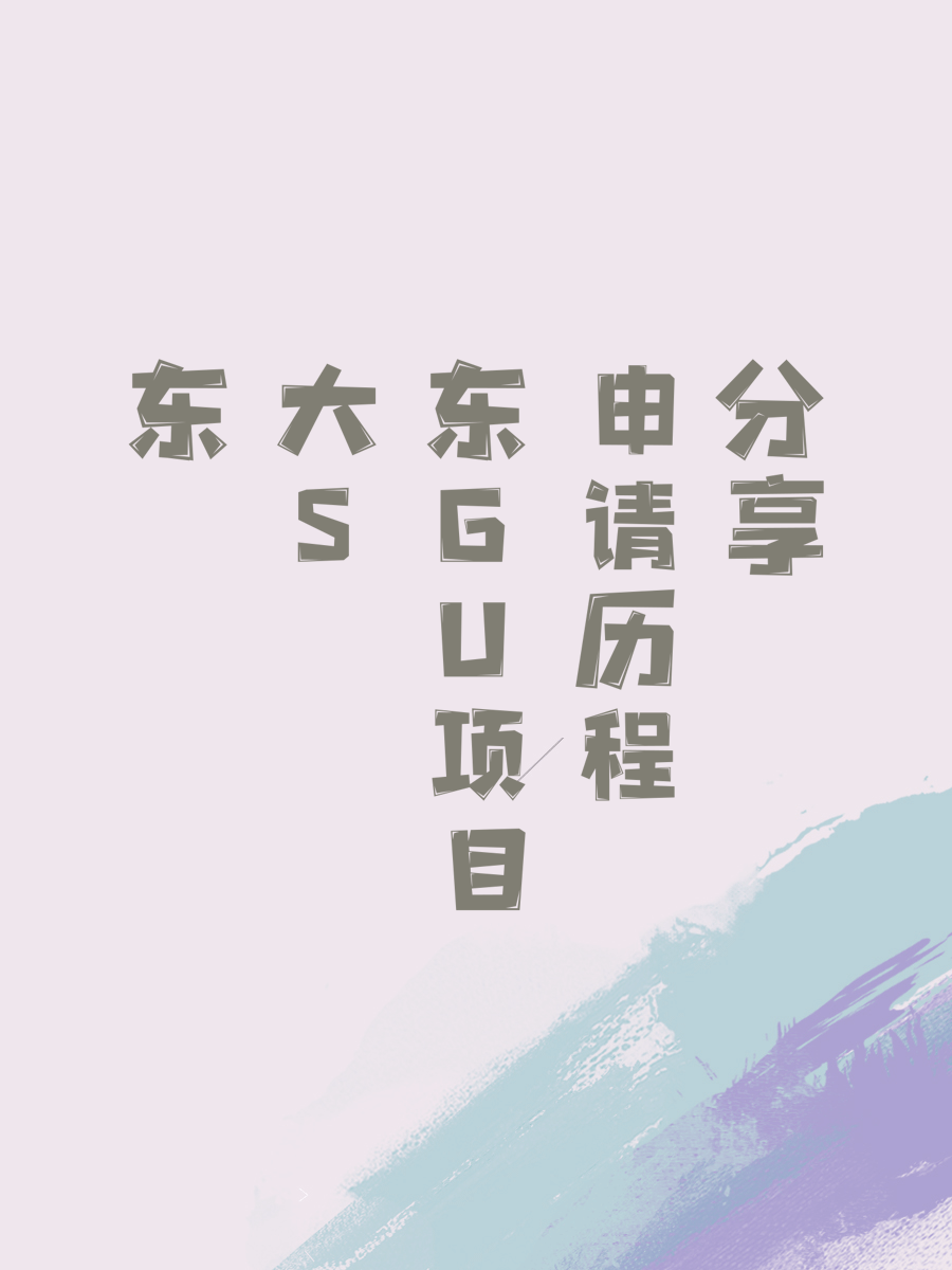 东大SGU项目申请历程分享
