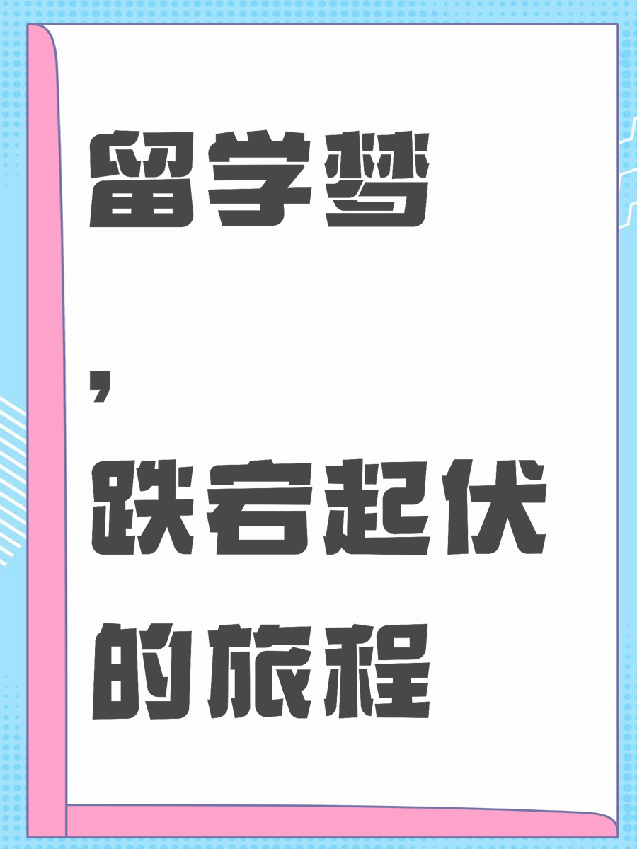 留学梦，跌宕起伏的旅程