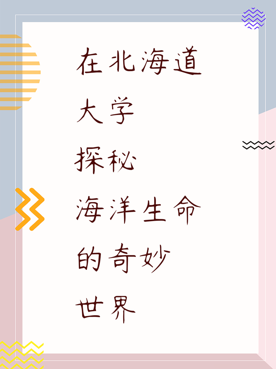 在北海道大学探秘海洋生命的奇妙世界