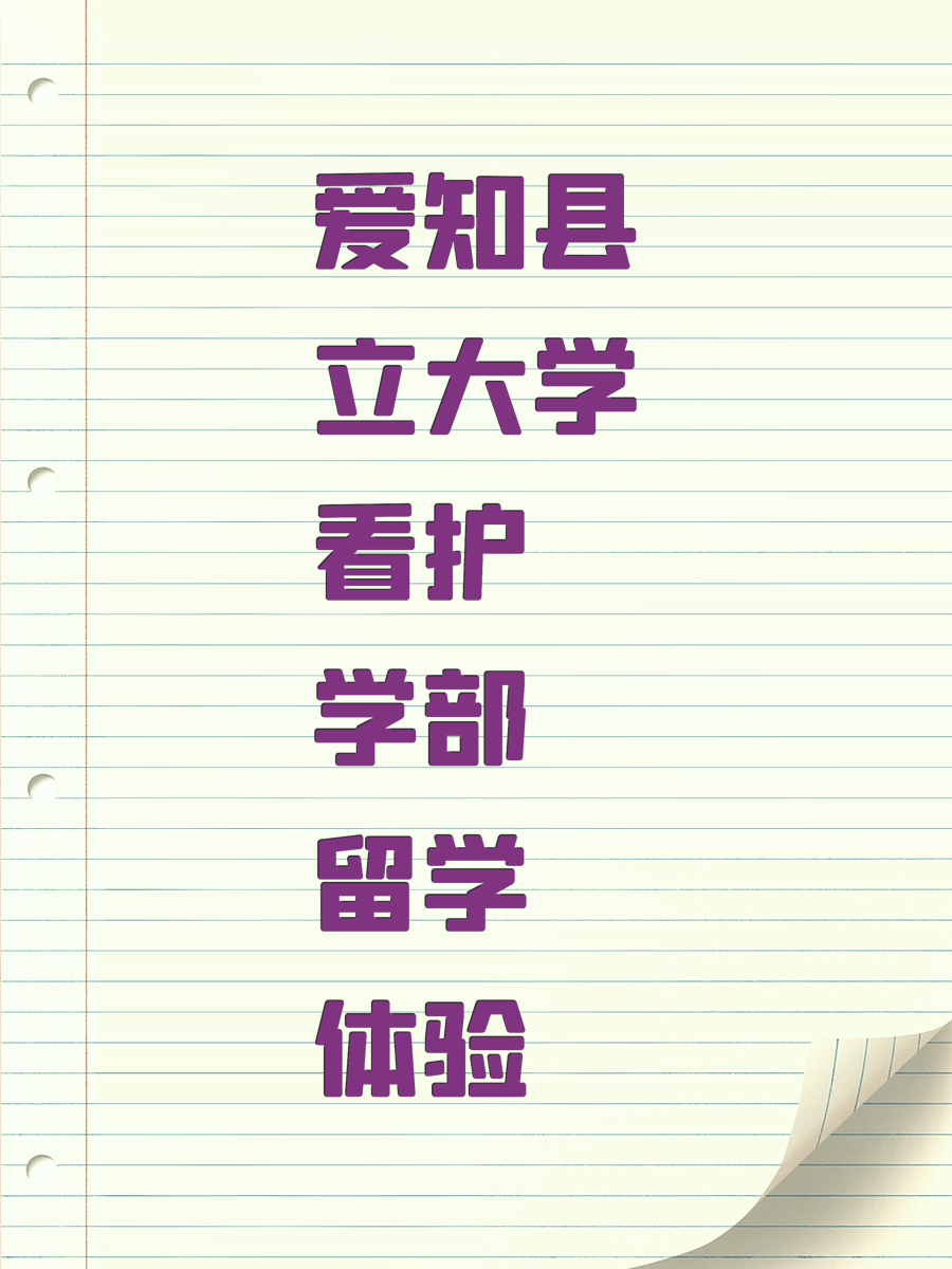 爱知县立大学看护学部留学体验